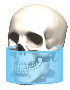 Отображение области верней и нижней челюсти